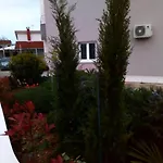 Seka 1 *