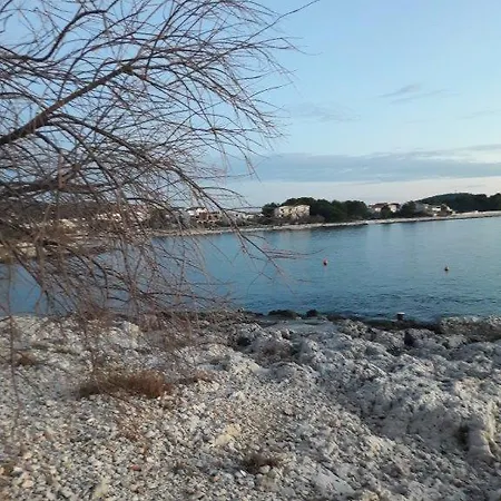 Apartman Seka 1