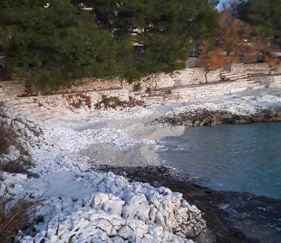 Seka 1 Apartment Zecevo