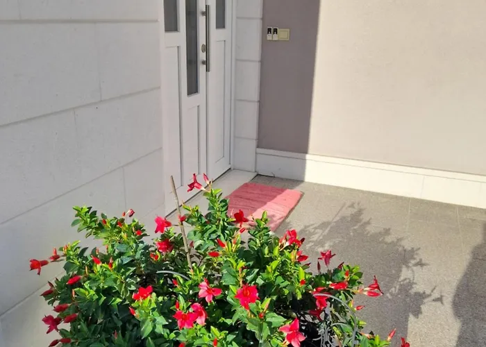 Seka 1 Apartman Zecevo